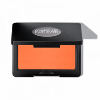 Artist Blush Skaistalai B330- Positive Papaya