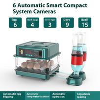 Viščiukų inkubatorius Mažas namų inkubatorius Automatinis Išmanus namų kiaušinių inkubatorius Viščiukų jauniklių vandens lovos inkubatorius 6 simple screw green single electricity