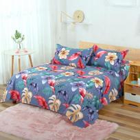 Individualizuojamas dvigulės lovos paklodžių komplektas vieno studento kambariui 1.0m bed: Sheet 120*225cm pilka spalva