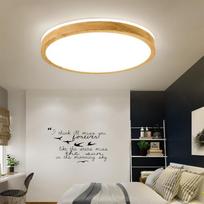 Vidinis LED lubinis šviestuvas svetainei, miegamajam, koridoriaus apšvietimas, šalta, šilta balta, natūrali šviesa, LED šviestuvai Diameter 30cm balta