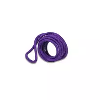 Gimnastikos šokdynė Amaya 3m Purple