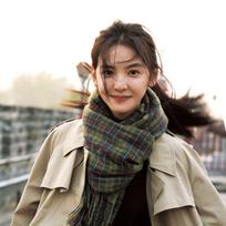 Zhang Ruonan Style Retro Green Plaid Scarf - Women's Autumn/Winter Korean Imitation Cashmere Shawl 60-200cm žalia