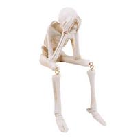 Helovino skeletas statula derva matyti kalbėti girdėti nedaryti blogio skeletas figūrėlė su kabančiomis kojomis vidaus židinio stalo lentynos dekorui B