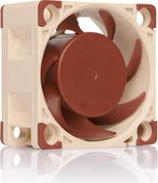 "Noctua NF-A4x20" 5V, 3 kontaktų "Premium" tylus ventiliatorius (40 mm, rudos spalvos)