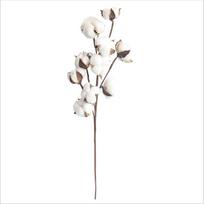 Naturally Dried Cotton Cheap Artificial Plants Floral Branch Vases Wedding Garden Party Decorations Fake Flowers Home Gift Decor 1pc white