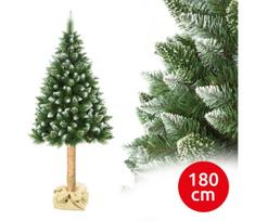 Kalėdinė pušis ant kamieno, 180 cm aukščio