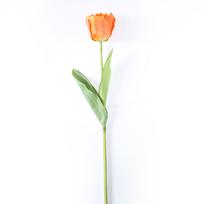 Dirbtinė tulpė 60cm