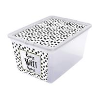Sandėliavimo dėžė X box dots 30L Skaidri