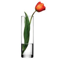 Vaza Flora Stikla 25.5cm