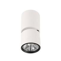 Šviestuvas BONIVA 5W LED paviršinis akcentinis lubų baltas/juodas 3000K