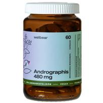 Wellbear Andrographis 480 mg – 60 kapsulių