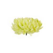 Dekoratyvinė gėlė Chrizantema galvutė 6.5x14cm (6) žalsva/kreminė W353 DDM