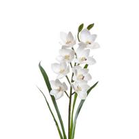 Dekoratyvinė gėlė Orchidėja balta h 73 cm K03977/1