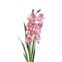 Dekoratyvinė gėlė Orchidėja mix 4 h 73 cm K03977