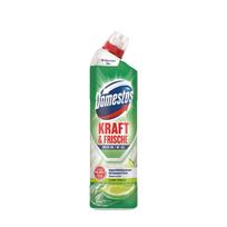 Valiklis WC dezinfekuojantis 750 ml žaliųjų citrinų kvapo Domestos 2008