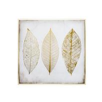 Paveikslas drobė su rėmu Lapai 58x58 cm Atmosphera 166941