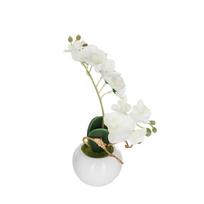 Dekoratyvinis augalas Orchidėja su vazonu 20x20x26 cm (mix) Atmosphera 155716