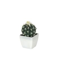Dekoratyvinė gėlė Sukulentas vazonėlyje 13 cm (4 rūšių) 8445393394978
