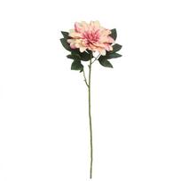 Dekoratyvinė gėlė Jurginas 74 cm 8430540867801