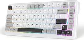 MAMBASNAKE M82HE M82HE QWERTY 75 % greitojo paleidimo klaviatūra su 8000 Hz apklausos dažniu, reguliuojamu suveikimu ir 0,01 mm RT tikslumu Laidinė RGB žaidimų klaviatūra, balta, pilka