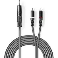 Nedis Kabelis Nedis AUX 3.5mm - 2x RCA 3m COTH22200GY30