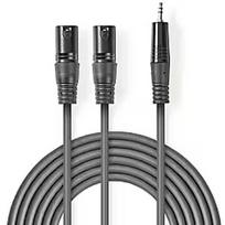 Nedis Kabelis Nedis 2x XLR M - 3.5mm M 3m COTH15310GY30