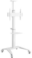 Gembird Aluminum TV Floor Stand with Caster Wheels White