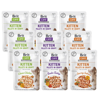BRIT CARE Kačių kačių kačiukų filė Gravy Mix Smaków su šaltalankiais ir Nasturtium 9x85g