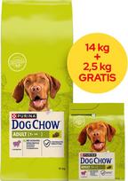 Purina Nestle PURINA Dog Chow Adult Lamb - dry dog food - 14 + 2,5kg