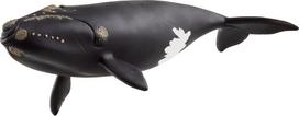 Schleich WILD LIFE Šiaurės Atlanto glotnusis banginis