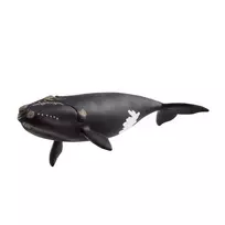 SCHLEICH WILD LIFE Šiaurės Atlanto glotnusis banginis