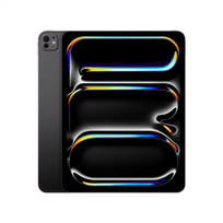 iPad Pro 13 inches Wi-Fi+ Cellular 2TB Standard glass - Space Black