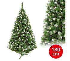Kalėdinė eglutė 180 cm eglė