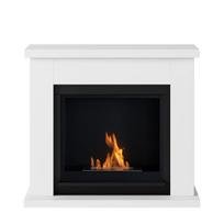 TAGU FRODE PURE WHITE FreeFlame pastatomas biožidinys su apdaila