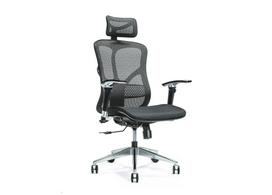 Ergonomiška biuro kėdė ERGO 500 juoda