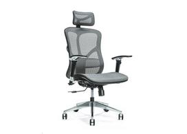 Ergonomiška biuro kėdė ERGO 500 pilka
