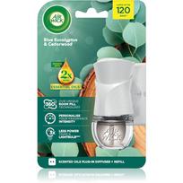 Air Wick Blue Eucalyptus & Cedarwood elektrinis oro gaiviklis su užpildu 19 ml