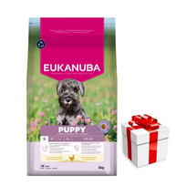 EUKANUBA Growing Puppy Small Breed 3kg vištienos + Staigmena ŠUNIUI