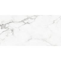 Mexen Lac Grey glazūruotas akmens masės plytelės, grindų-sienų plytelė 120 x 60 cm, blizgus - TL107-120-060-01