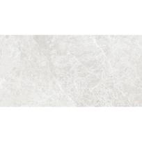 Mexen Lizard Silver glazūruota akmens masės plytelė, rektifikuota, 120 x 60 cm, blizgi - TL109-120-060-03