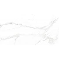 Mexen Agata Grey glazūruota rektifikuota G1 akmens masės plytelė, grindų-sienų 120 x 60 cm, blizgus - TL144-120-060-01