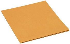 Šluostė VILEDA PROFESSIONAL PVA IRCHA 113673, 54X44CM