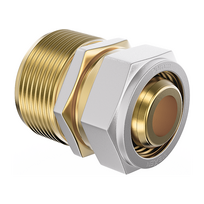 Mexen PEX-S suspausta redukcija PEX 25 x 3/4 GZ - W97223-2534M-00