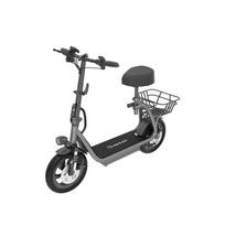 Stride Power M5 Pro elektrinis paspirtukas su sėdyne ir krepšiu, 750W variklis, 12 colių 48V 10,4Ah baterija pilka