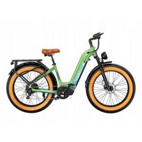 Elektrinis dviratis - OVIVO HYPER V6 - 250W - 48V 20Ah - Nuvažiuojamas atstumas 150 km - Greitis 25 km/h žalia