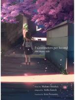 5 Centimeters Per Second: one more side