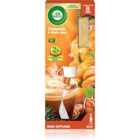 Air Wick Essential Mist Pumpkin & Winter Spice kvapų difuzorius su užpildu 30 ml