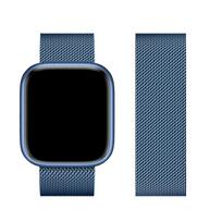 FORCELL F-DESIGN FA03 magnetinė nerūdijančio plieno apyrankė APPLE Watch 38 / 40 / 41 mm mėlyna