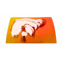 Glycerin Soap Muilas su glicerinu Rhubarb&Strawberry