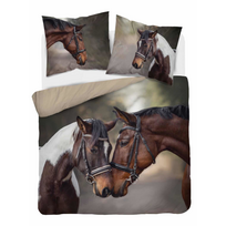 3D patalynės komplektas MAGIC HORSE 200x220